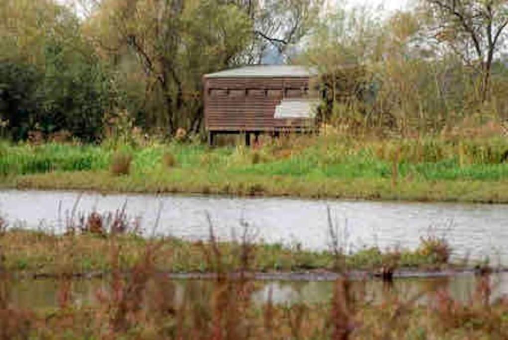 Вілла The Loft At The Croft - Stunning Rural Retreat Perfect For Couples & Dogs Leigh  Екстер'єр фото